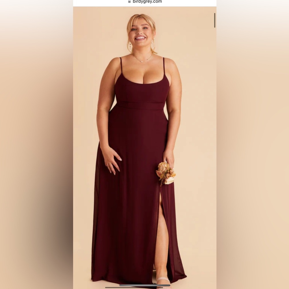 Birdy Grey Amy Chiffon Cabernet Dress